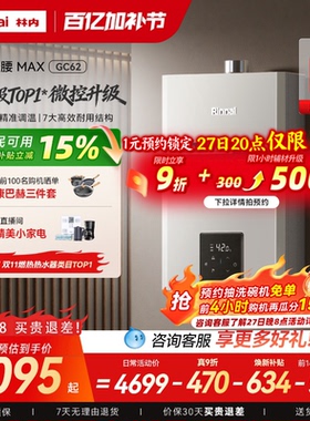 [小蛮腰MAX水伺服]林内燃气热水器GC62家用天然气13/16/20升恒温