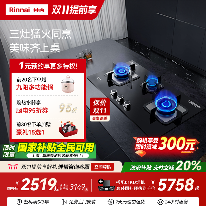 林内Rinnai5.0kW三眼灶