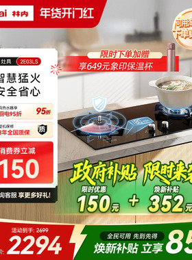 林内Rinnai燃气灶家用双灶天然气炉灶台定时防干烧2E03LS