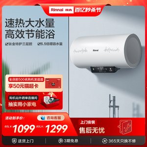 80升电热水器Rinnai/林内一级