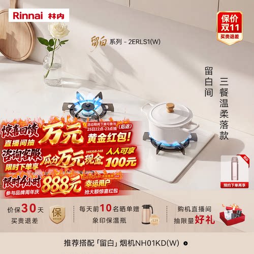 林内新品留白5.2kW定时防干烧S1