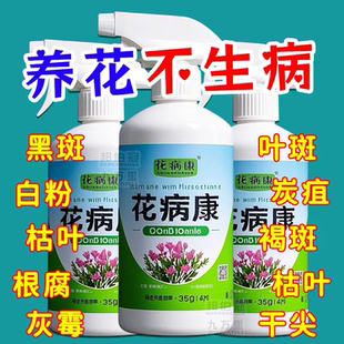 花病康喷雾剂喷雾三角梅兰花月季多肉花卉通用炭疽白粉灰霉黑斑