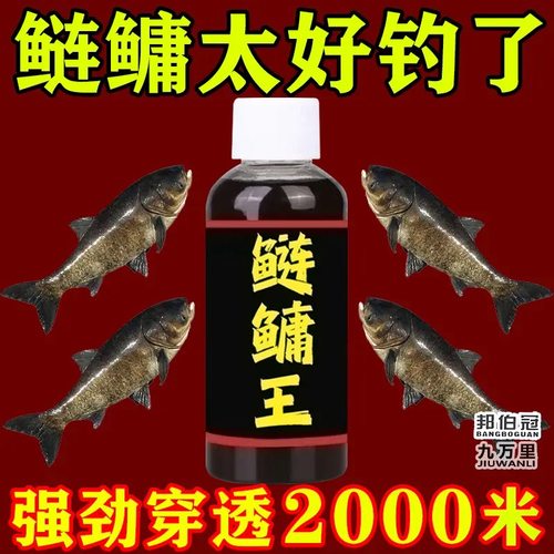 鲢鳙小药鲢鱼花鲢白鲢大头鱼饵料野钓水库鱼饵胖头鱼方块窝料酸臭