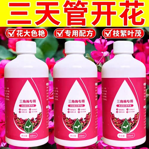 三角梅营养液干枝促发芽开花预防落叶黄叶枯萎通用型植物绿叶
