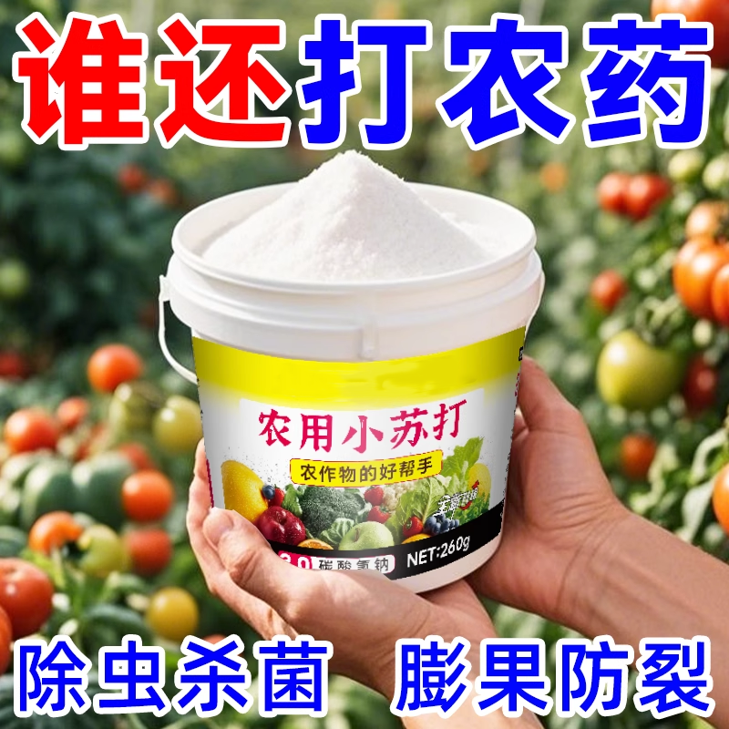 农用小苏打蔬菜肥料营养液家用果蔬瓜果盆栽种菜通用型杀菌去残留