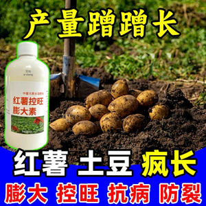 根茎膨大素甘薯地瓜土豆山药红薯花生根茎块茎膨大素根茎块茎膨大