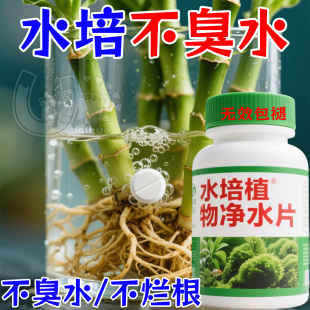 水培植物净水片鲜花花卉保鲜剂不臭水水培专用除臭片净化水质