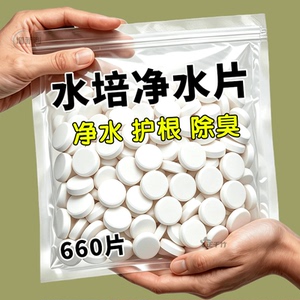水培植物增氧片净水片营养片防臭水促生根浑水水培花卉通用净水片