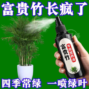 富贵竹水培植物营养液转运竹观音竹生根叶子发黄富贵竹专用营养液