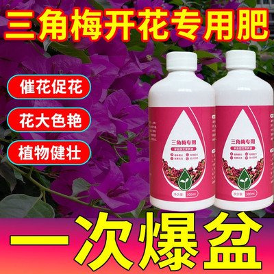 三角梅专用肥催花营养液家用养花卉通用型梅花促花保花腊梅催花素