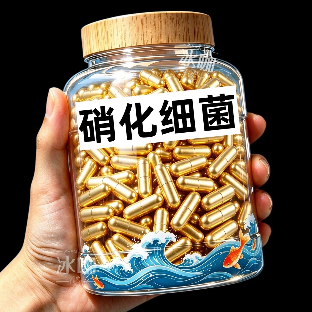 鱼缸硝化细菌胶囊打造空气缸去除腥味净化水质分解鱼粪懒人必品备