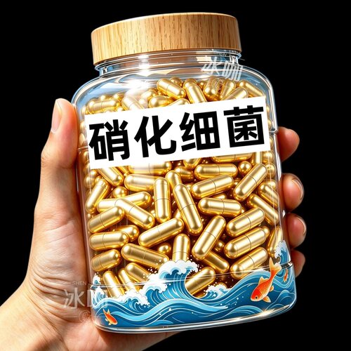 鱼缸硝化细菌胶囊打造空气缸去除腥味净化水质分解鱼粪懒人必品备