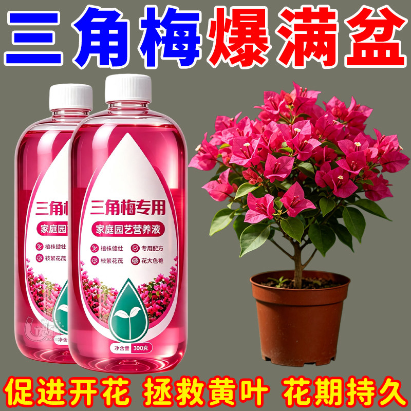 三角梅催花营养液专用肥懒人养花卉通用型梅花促花保花腊梅催花素