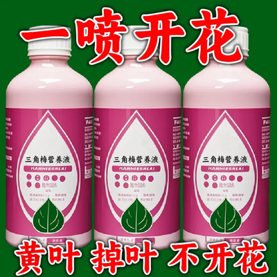 【9.9三瓶】三角梅开花专用肥