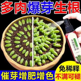 养多肉营养液肥料专用肥营养素肉多多生根肉肉植物花肥增色液体肥