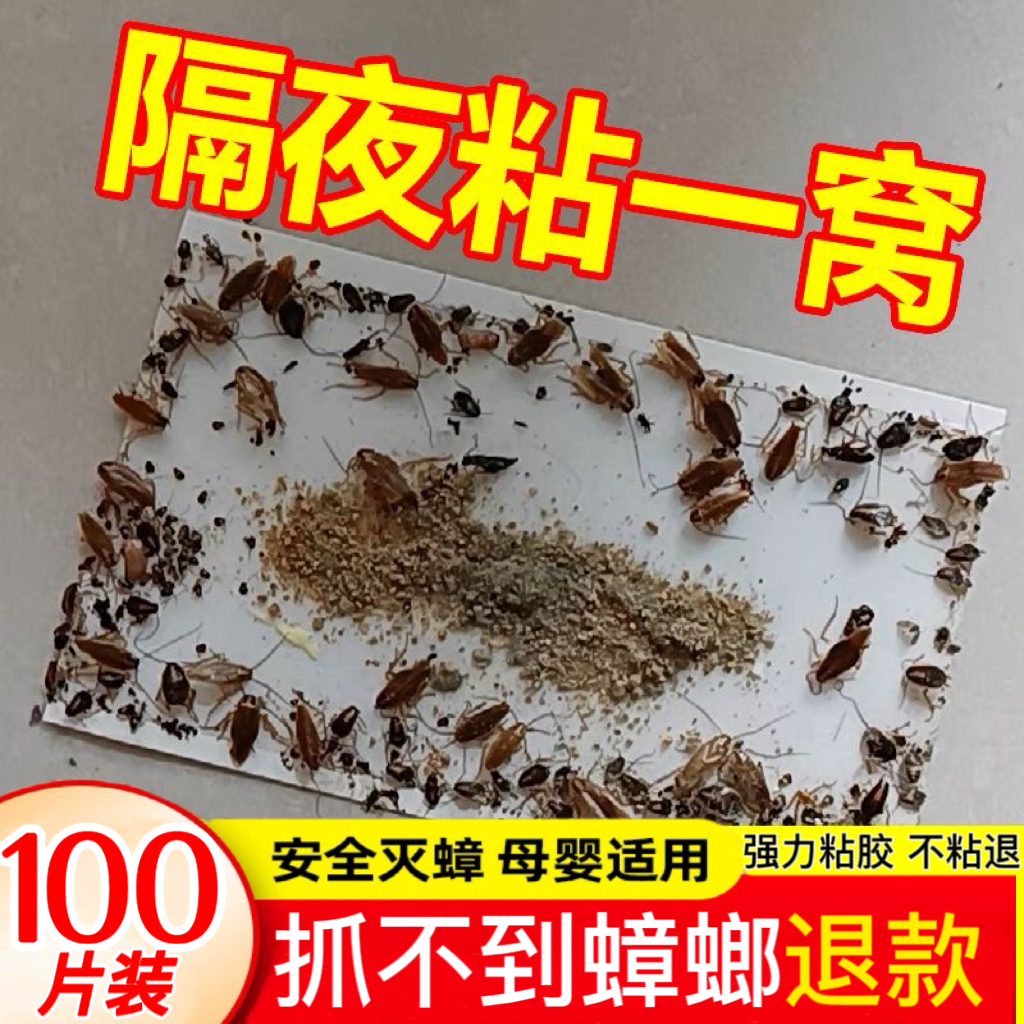 强力粘胶蟑螂贴屋家用无毒一窝端