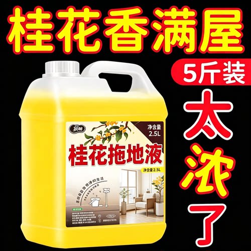 拖地花露水专用清洁液神器速干