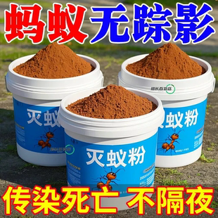 蚂蚁药强效全窝端家用非无毒厨房室内野外菜地灭蚁清一窝端灭蚁药