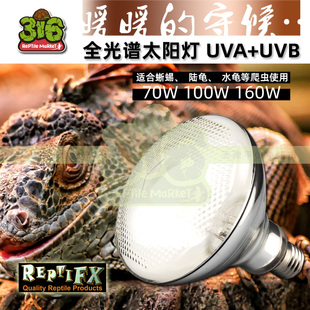 REPTIFX全光谱太阳灯UVA UVB爬宠陆龟晒背蜥蜴爬虫保温灯M灯替代