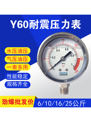 耐震不锈钢Y60处理压表液