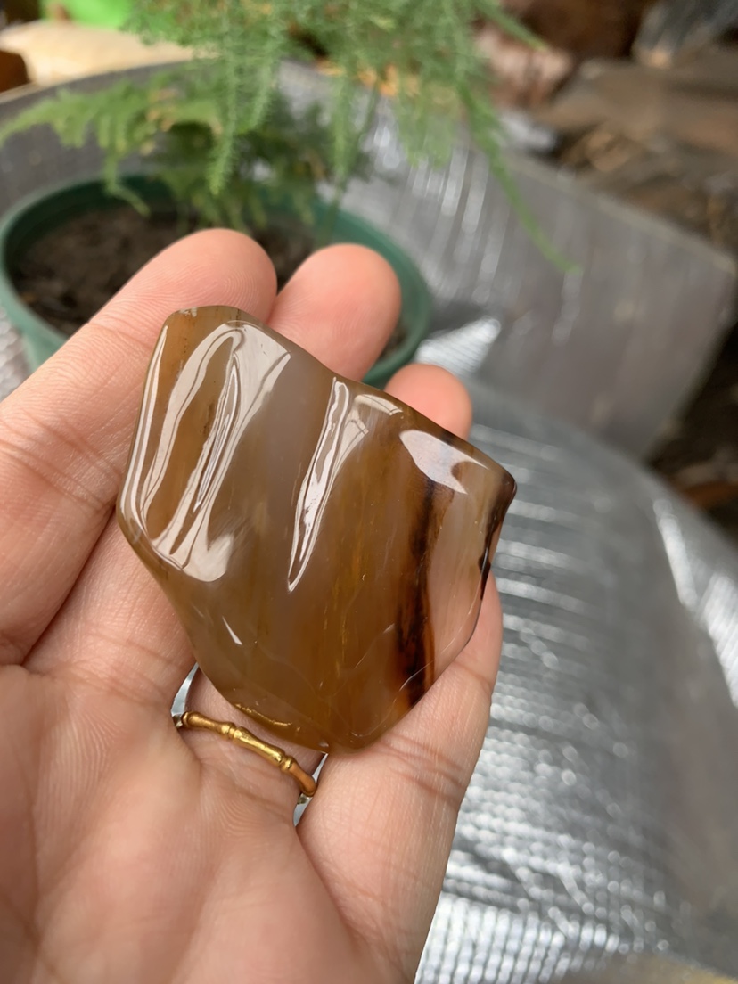 缅甸树化玉手把件高4.5/宽4.5/厚2厘米