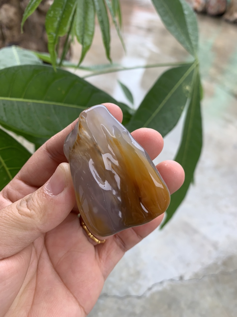 缅甸树化玉手把件高5/宽4/厚3厘米