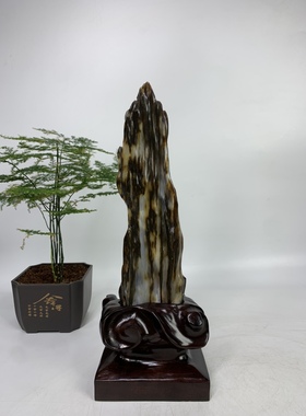 缅甸树化玉摆件