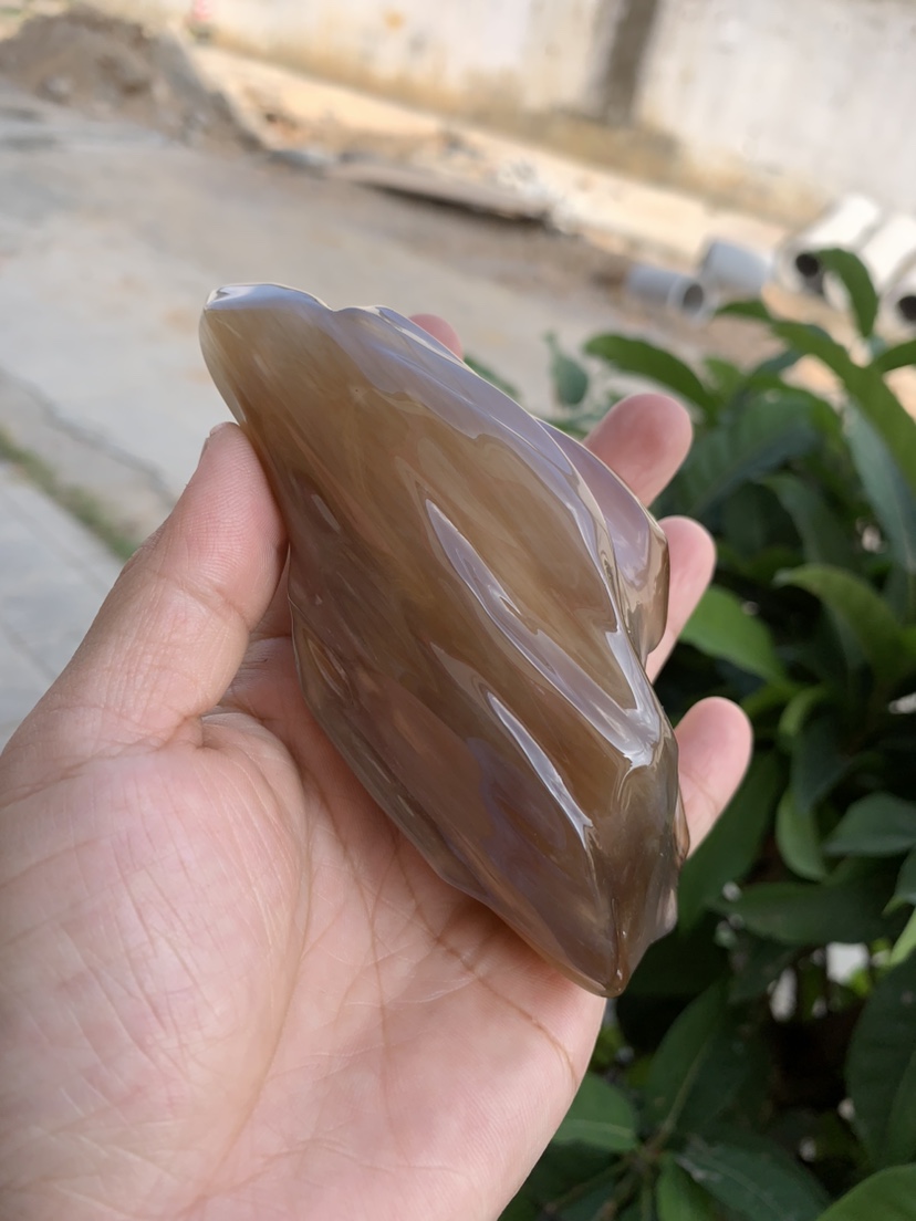 缅甸树化玉手把件高12/宽5/厚4厘米