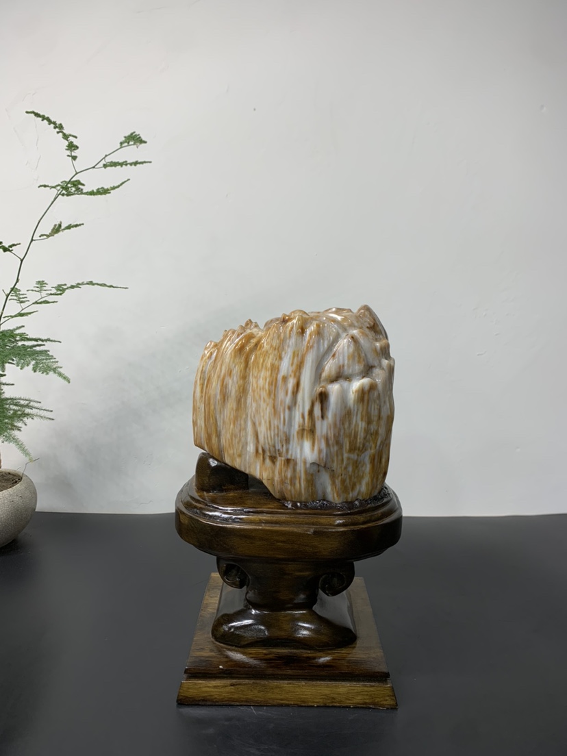 缅甸树化玉摆件总高26/高15.5/宽12/厚9.5厘米净重5.8斤送底座