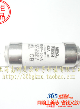 圆管螺栓型快速熔断器RGS4 63A 690V~50KA陶瓷保险丝25元/PCS