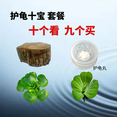 龟鱼缸水草造景装饰净化水质