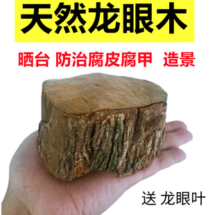 乌龟天然高山龙眼木晒台龟缸造景沉木摆件龙眼叶养龟休息台龙眼叶