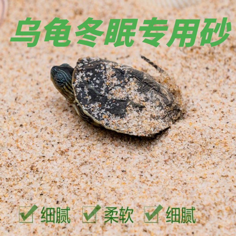 乌龟冬眠用品孵化冬眠造景细腻
