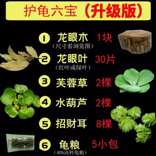 养乌龟专用缸龙眼木晒台爬坡躲避窝净化水质水草绿植造景摆件用品