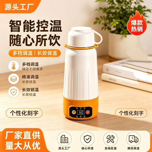 316不锈钢烧水壶家用户外旅行车载保温热水杯便携式迷你电热水壶
