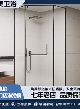 网红钻石型推拉淋浴房不锈钢玻璃浴室卫生间干湿分离极窄隔断