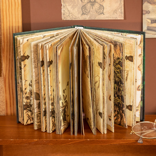 世纪赞歌烫金古风本子欧式复古精美全彩页手账本学生办公笔记本子