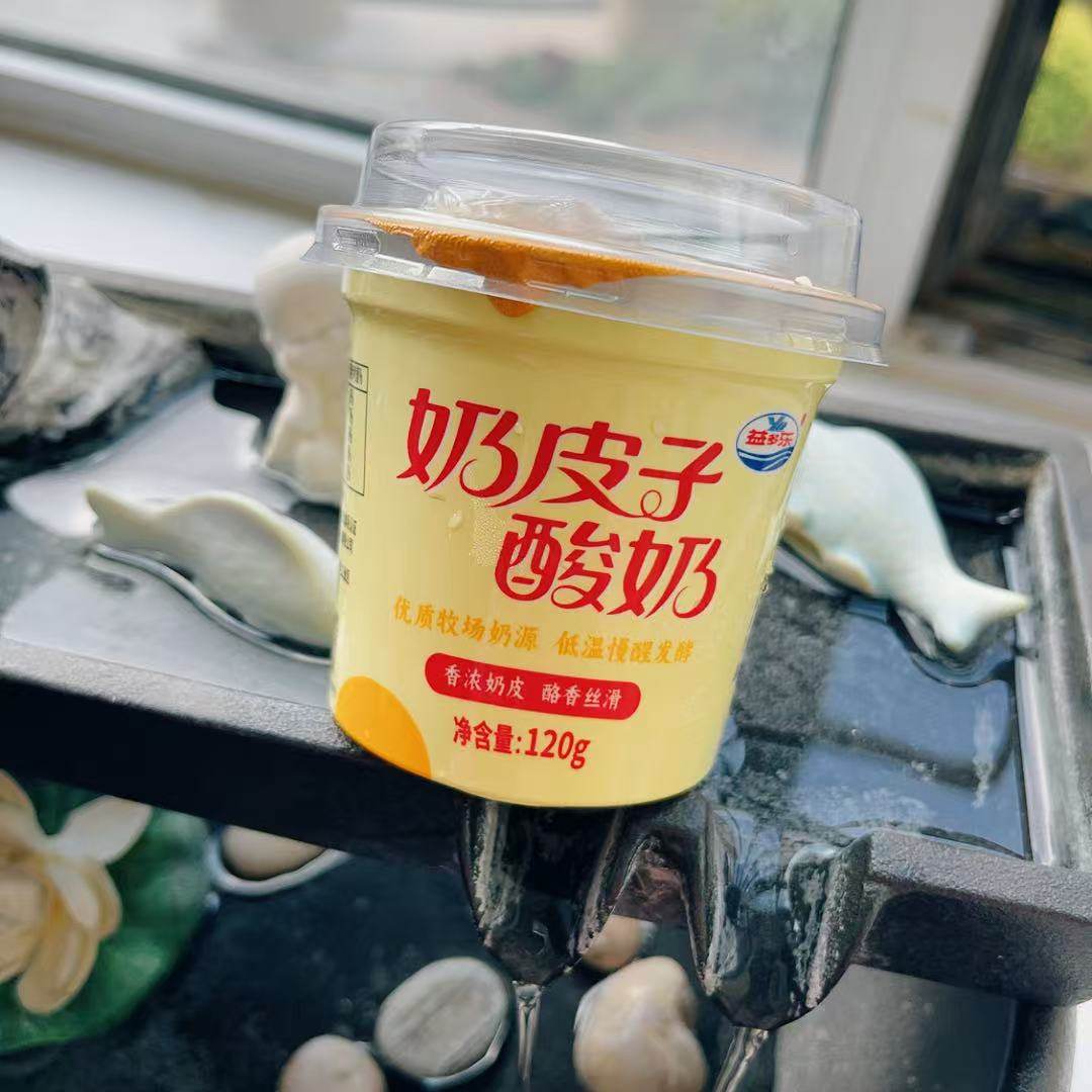 益多乐牧场奶皮子酸奶120g杯风味发酵乳辽宁锦州特产香浓奶皮酸奶,咖啡/麦片/冲饮,低温酸奶,淘宝优惠券,粉丝福利购,淘宝优惠卷
