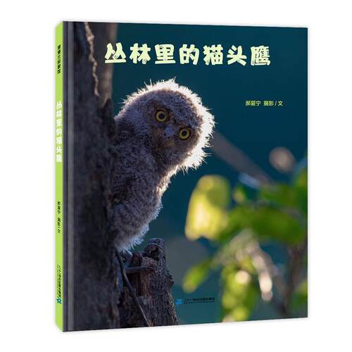 【书】（精装绘本）蒲蒲兰探索馆：丛林里的猫头鹰