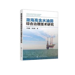 【书】 渤海高含水油田综合治理技术研究 9787122376411 化学工业出版社