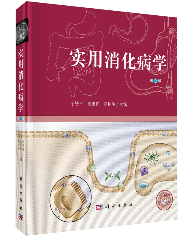 实用消化病学(第三版)于皆平 沈志祥 罗和 编 本书供从事消化系统疾病