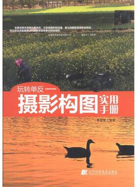【书】 玩转单反：摄影构图实用手册 9787538175677 辽宁科学技术出版社