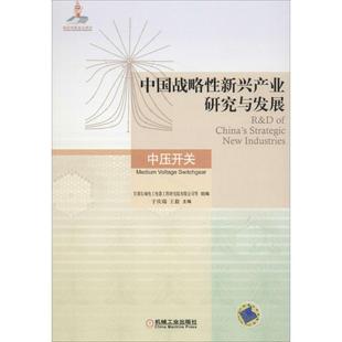 【书】 中国战略性新兴产业研究与发展 中压开关 9787111592235 机械工业出版社