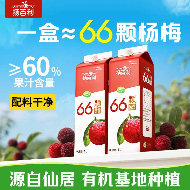 扬百利仙居66颗杨梅汁大瓶饮料1L*2瓶果汁酸梅汤解腻聚会聚餐分享