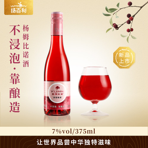 扬百利仙居杨梅酒375ml*2瓶果酒女士微醺酿造vol7%聚会聚餐