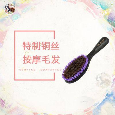 克莉丝汀森美国紫色时尚梳梗犬