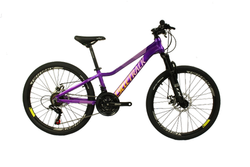 ck铝合金山地自行车21速双碟刹