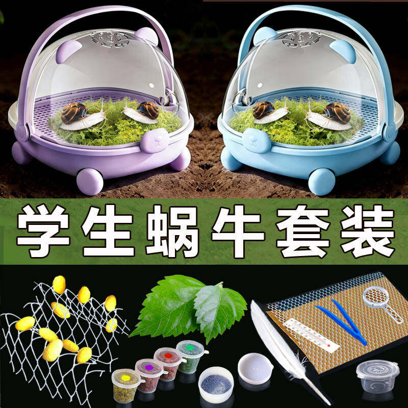 宠物白玉蜗牛学生幼儿园大小动物饲养盒生态巨型学生实验教学套装