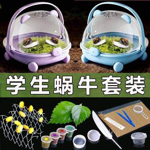 宠物白玉蜗牛学生幼儿园大小动物饲养盒生态巨型学生实验教学套装