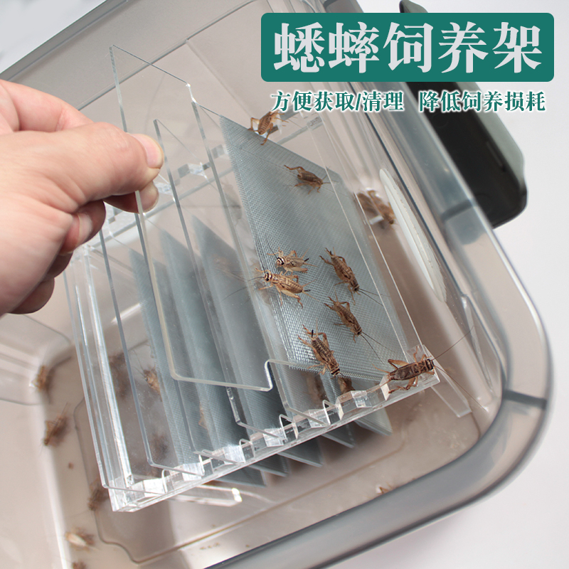 蟋蟀饲养盒蟋蟀架子蟋蟀饲养箱